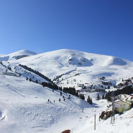 Snow Patrol Lodge Тетово Екстер'єр фото